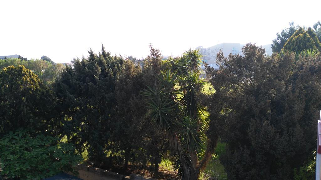 Mscamere Gasthof Termoli